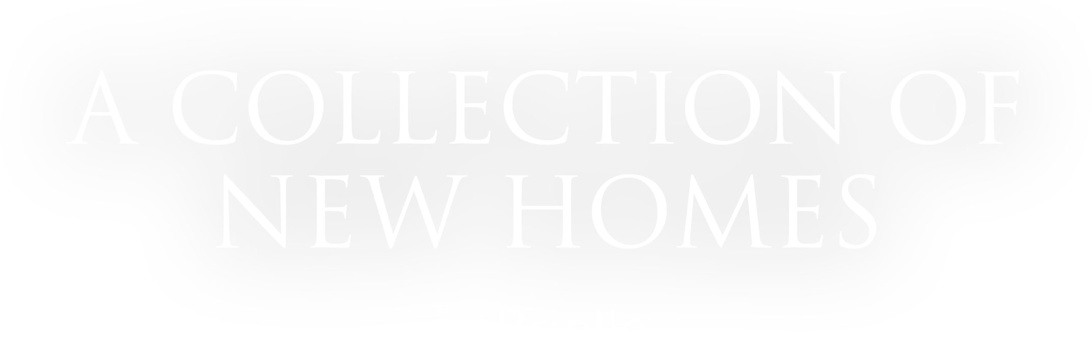 A Collection of New Homes in Brielle